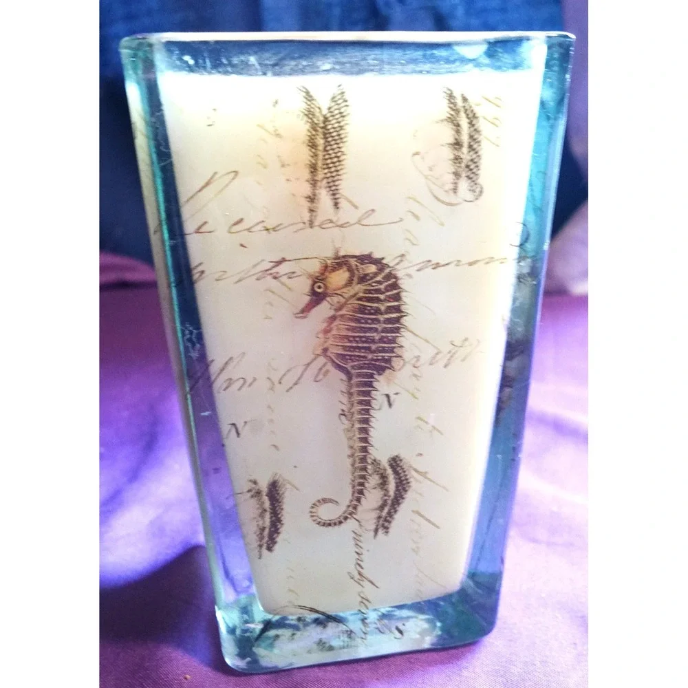 VTG Hurricane Candle in Glass Holder Scintific/Botanical Seashell Print Seahorse